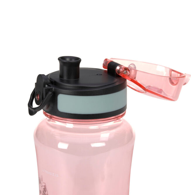 Lassig Lunch Set (Lunchbox & Bottle) - About Friends, Dino Rose