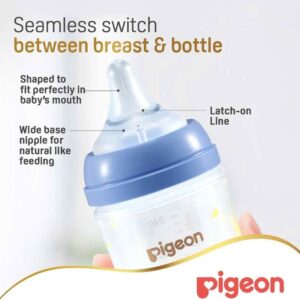 Pigeon SofTouch Anti-Colic Plastic Nursing Bottle 240ml (3m+) - Bear