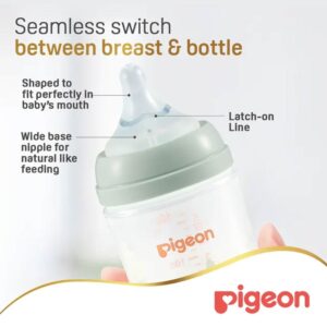 Pigeon SofTouch Anti-Colic Plastic Nursing Bottle 160ml (0m+) - Rabbit