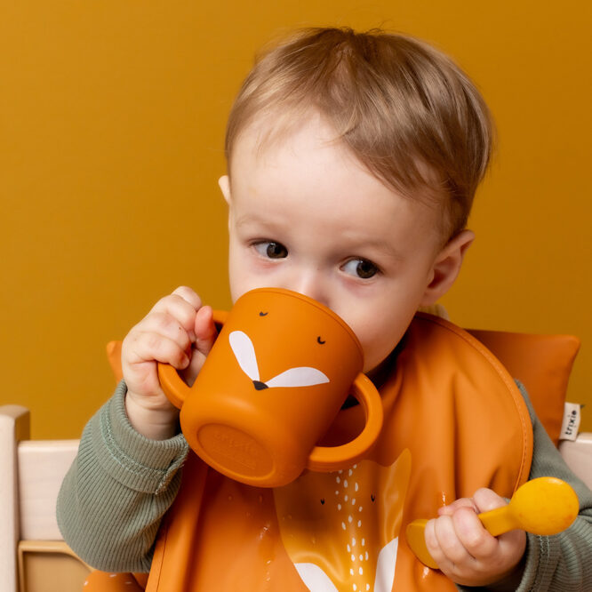 Trixie Silicone Sippy Cup - Mr. Fox