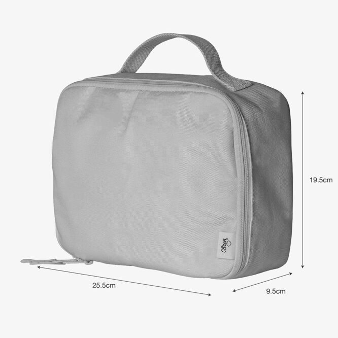 Citron Insulated Square Lunch Bag Size