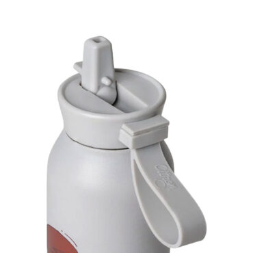 Citron Stainless Steel Medium Water Bottle 500ml - Cool Kid
