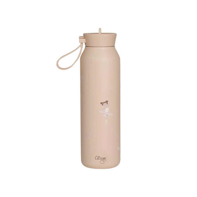 Citron Stainless Steel Medium Water Bottle 500ml - Ballerina