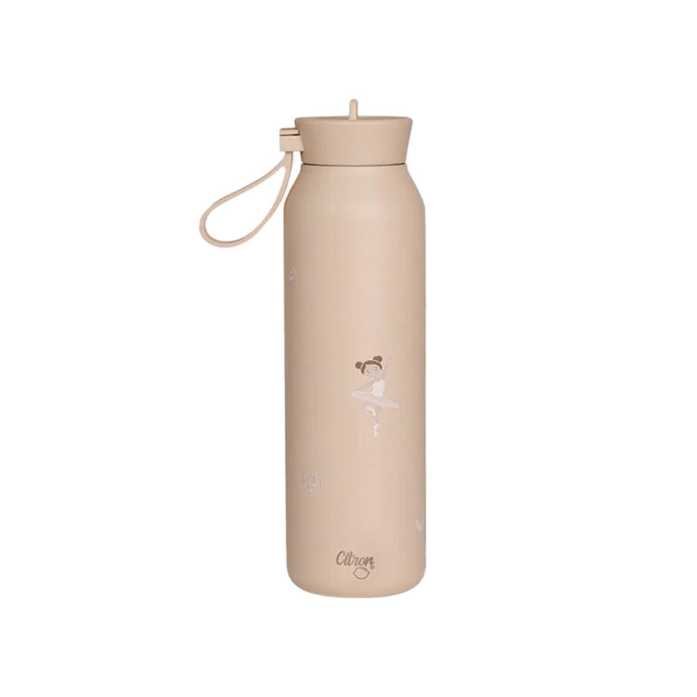 Citron Stainless Steel Medium Water Bottle 500ml - Ballerina