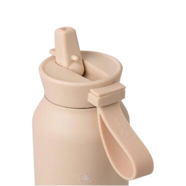 Citron Stainless Steel Medium Water Bottle 500ml - Ballerina