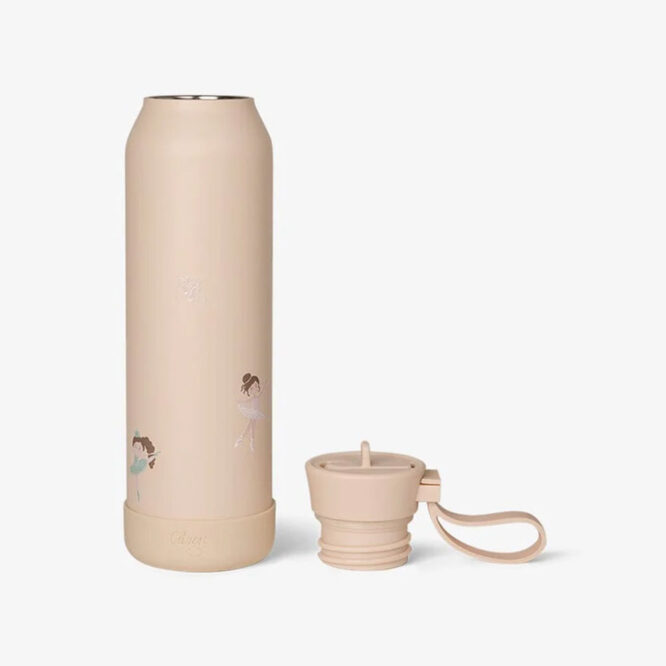 Citron Stainless Steel Medium Water Bottle 500ml - Ballerina