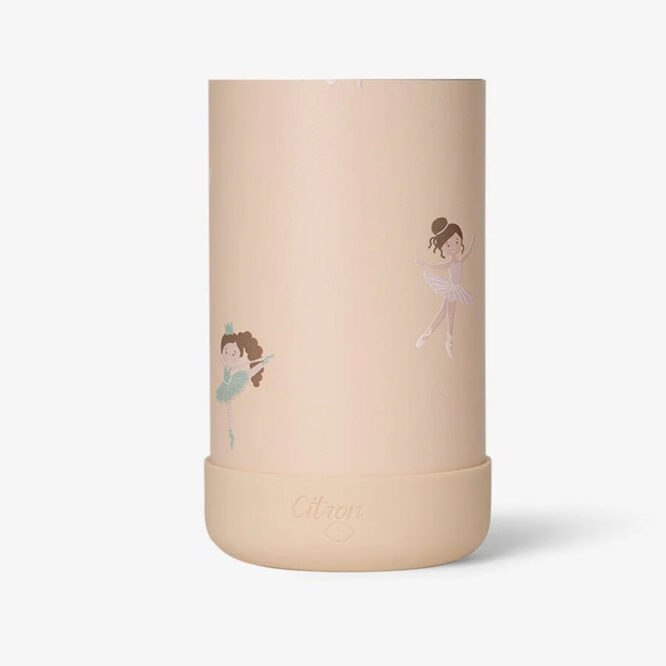 Citron Stainless Steel Medium Water Bottle 500ml - Ballerina