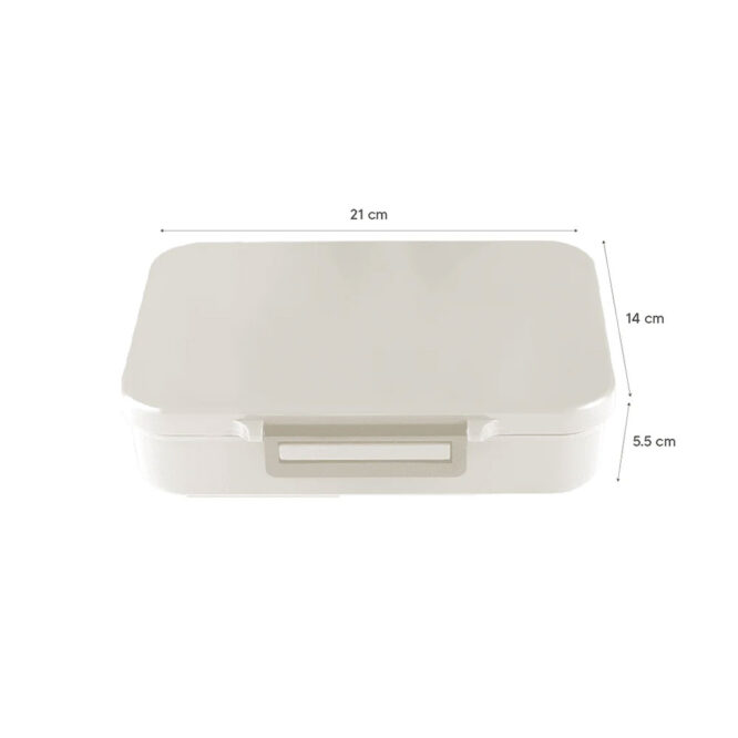 Citron Tritan Lunch Box Size