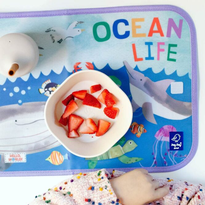 Jaq Jaq Bird Doodle It & Go Erasable Mat with 4 Butterstix Chalk - Ocean