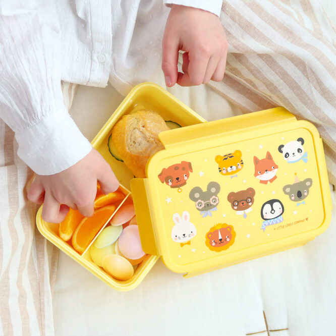 A Little Lovely Bento Lunch Box - Anima Friends
