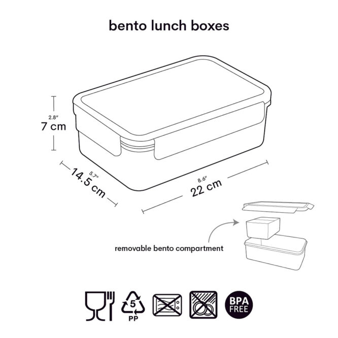 A Little Lovely Bento Lunch Box Dimensions
