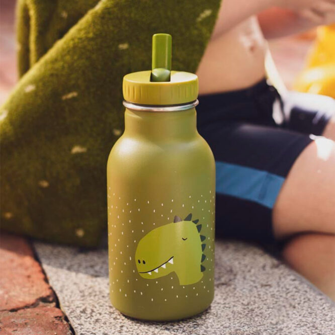 Trixie Drinking Bottle 350ml - Mr. Dino