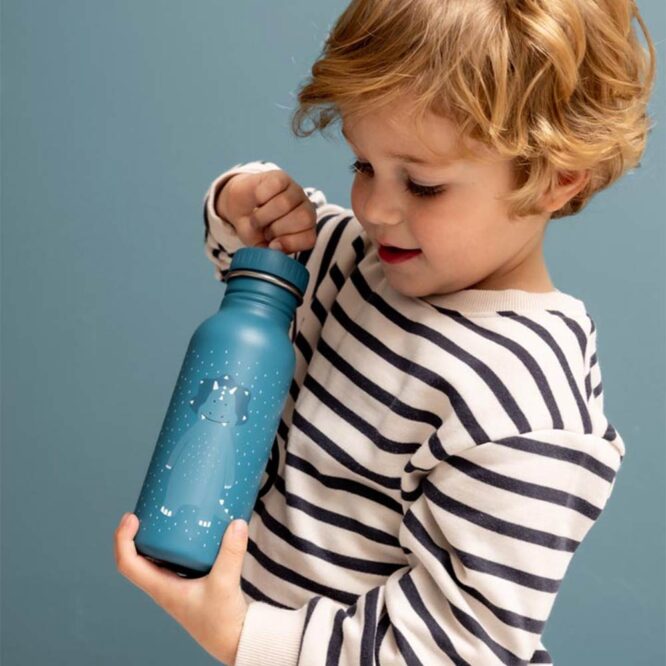 Trixie Drinking Bottle 350ml - Mr. Triceratops