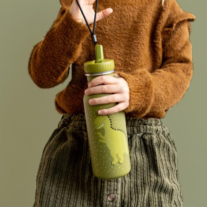 Trixie Drinking Bottle 500ml - Mr. Dino