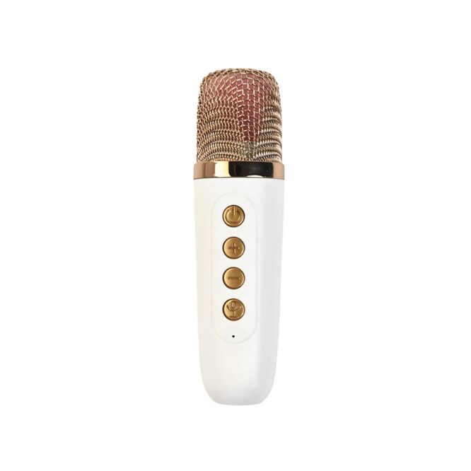 Karaoke Wireless Bluetooth Speaker - Space Rabbit