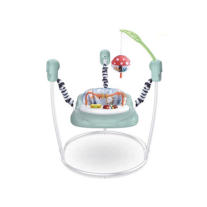 TiiBaby Baby Activity Jumper Chair (Max 13kg) - Green