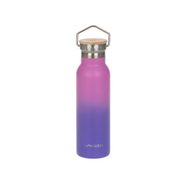 Lassig Double Walled Stainless Steel Bottle 460ml - Unique, Gradient Purple