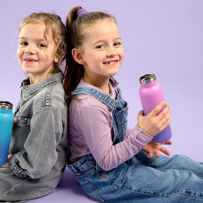 Lassig Double Walled Stainless Steel Bottle 460ml - Unique, Gradient Purple