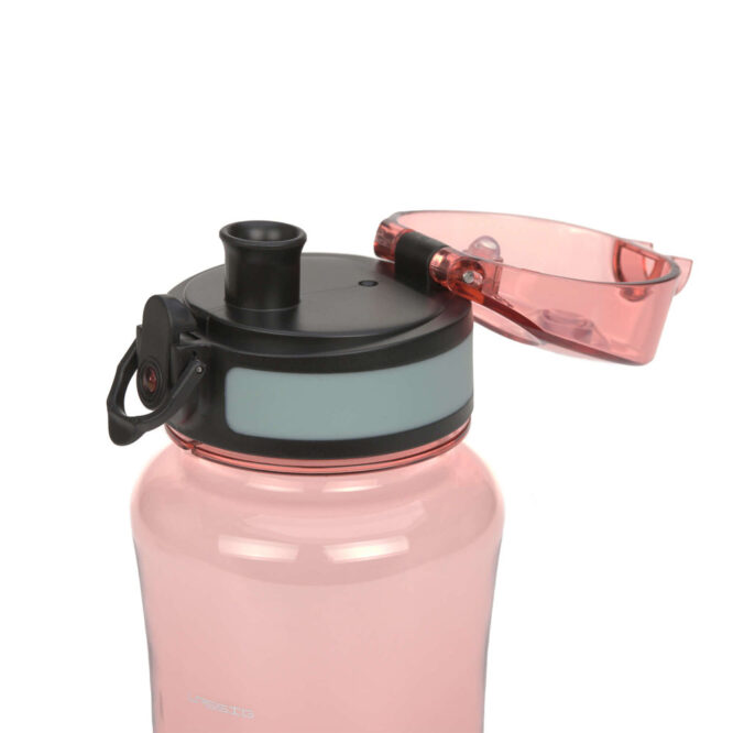 Lassig Lunch Set (Lunchbox & Bottle) - About Friends, Fox
