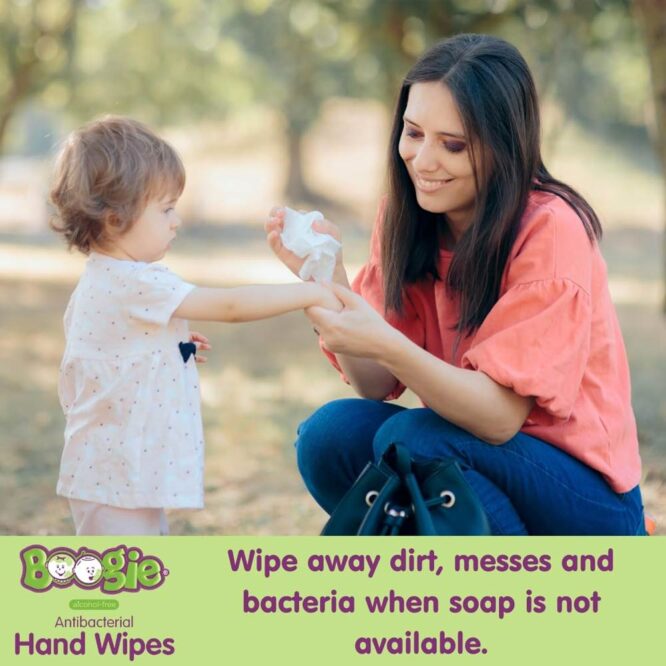 Boogie Antibacterial Hand Wipes - 3x20 Wipes Pack