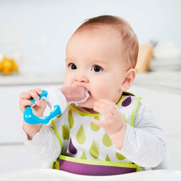B.Box Fresh Food Feeder (4m+) - Blueberry