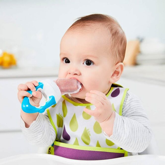 B.Box Fresh Food Feeder (4m+) - Blueberry