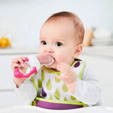 B.Box Fresh Food Feeder (4m+) - Raspberry