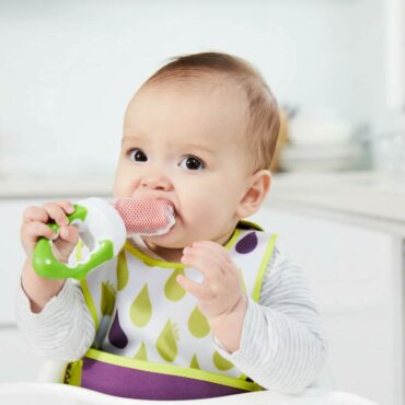 B.Box Fresh Food Feeder (4m+) - Apple