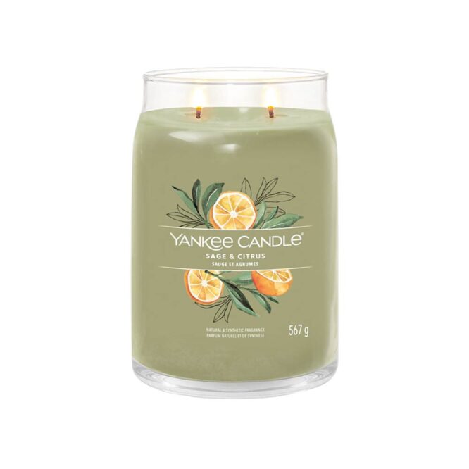 Yankee Signature Jar Candle (Large) - Sage & Citrus