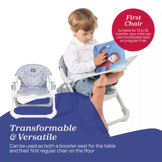 Chicco Chairy Convertible Booster Seat (6m+) Max 15kg - Bunny