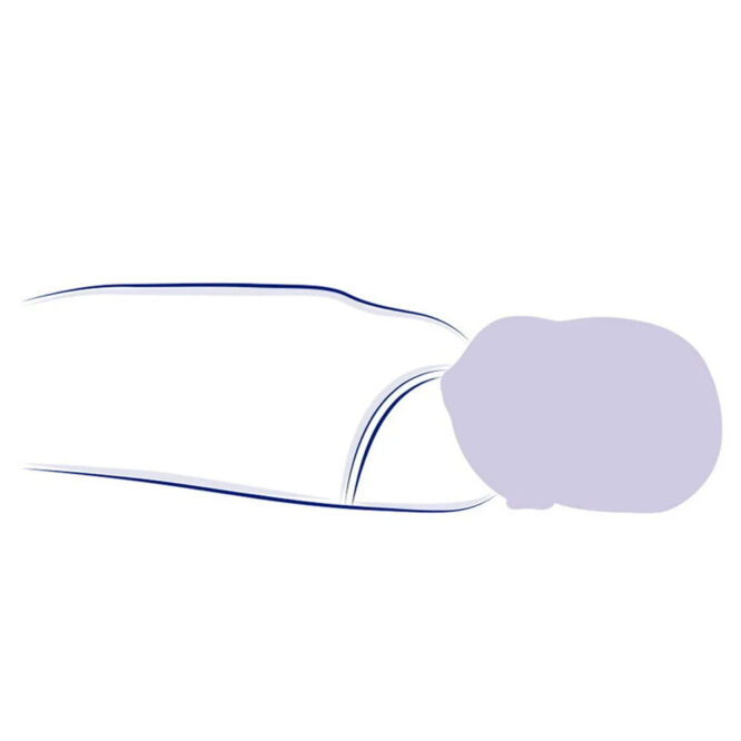 Chicco Muslin Swaddles Set (0m+) Bear & Sheep - 2 Pcs