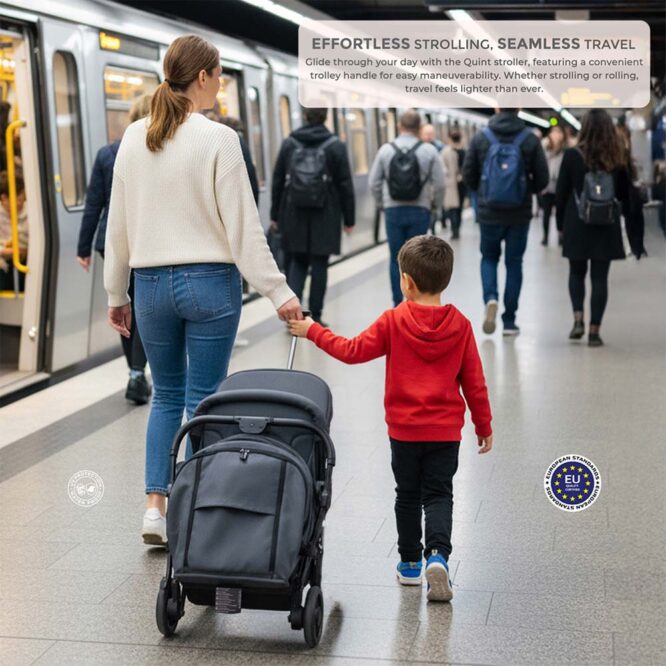 Neobreez QUINT Reversible Stroller (0-4Yrs) Max 22kg - Gray