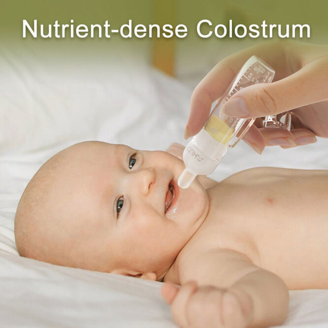 Youha Colostrum Breast Milk Collector 10ml - 2 Pcs