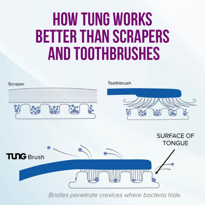 Tung Brush for Kids | Mix Color - 1 Piece